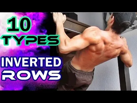 Variations of Calisthenics Rows